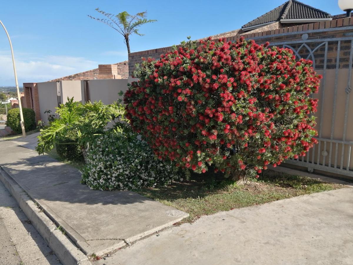 Blue Sea Guest House East London Bagian luar foto